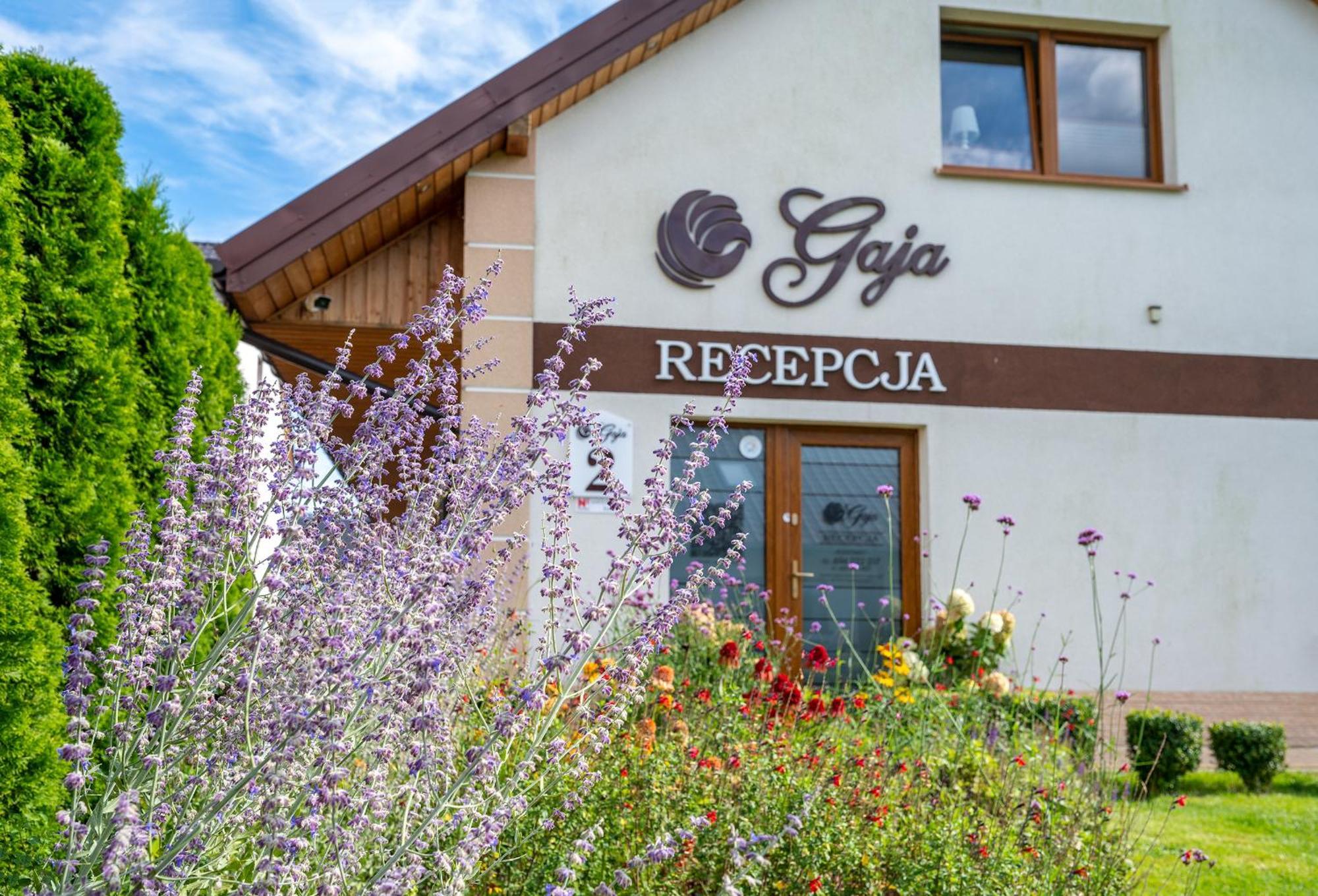 Apartamenty Gaja Дарлувко Экстерьер фото